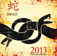 Chinese Year of the Snake - 2013