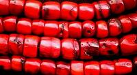 Chunky Chinese Red Root Coral Barrel Beads - A Grade
