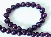 Royal Purple Pearl Strand