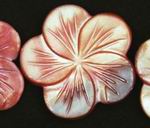 3 Carved Orange Flower Mother-of-Pearl Beads - Large