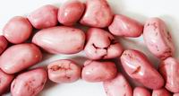 Unusual Pink Turquoise Nugget Beads