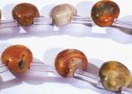 Polished Crazy Lace Agate Briolette Beads