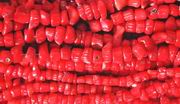 Wild Red Coral Heishi Bead Strand