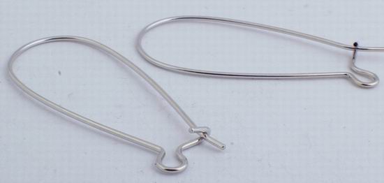 10 Pairs Steel Long Arched Earring Hooks