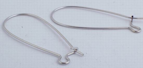 10 Pairs Steel Long Arched Earring Hooks