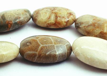 Distinctive Oval Coral Fossil Beads - 18mm x 13mm