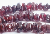 Long Lustrous Garnet Chip Bead String - for protection!