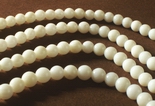 Pure White Coral 4mm Beads