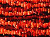 Genuine Chinese Red Coral Bead Strand