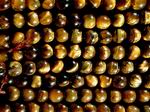 Golden Tiger Eye Bead Strand  - 6mm