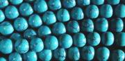 Deep Blue Howlite Turquoise Beads - 4mm