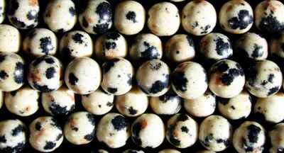 Happy Dalmatian Jasper Beads