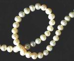 Beautiful Chinese Quality 5mm Pearl Strand
