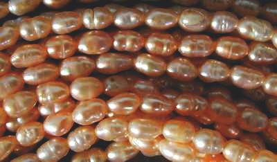 2 Chinese Champagne Rice Pearl Strand