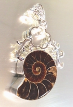 Million-Of-Years-Old Ammonite Fossil Healing Pendent - Unusual!