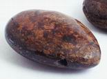 Golden Chocolate Bronzite Teardrop Beads - unusual
