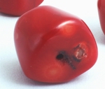 Large Gleaming Chunky Red Coral Nugget Beads